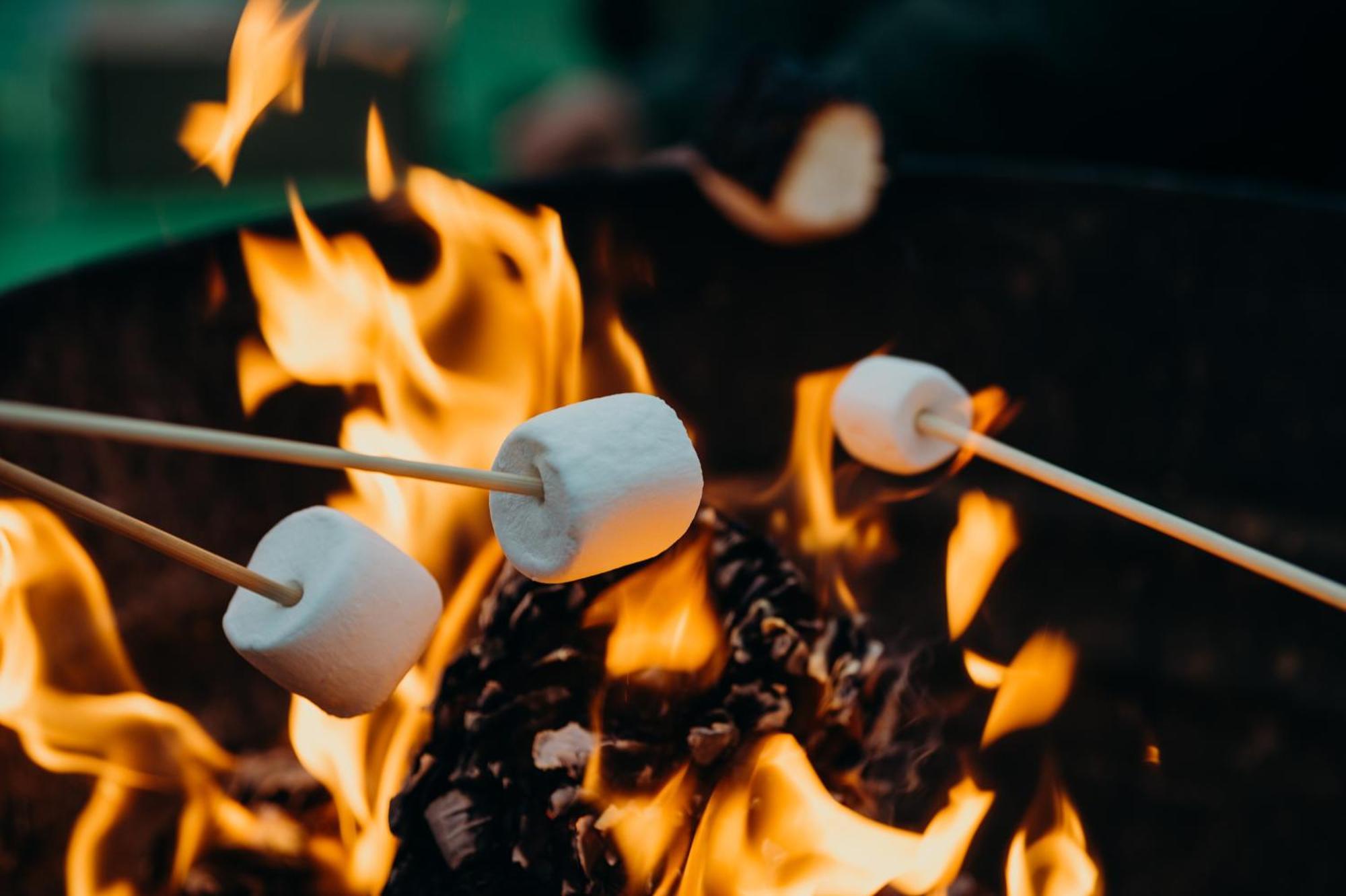 Couples Retreat: King Bed:Hot Tub:Firepit & More ブルーリッジ山脈 エクステリア 写真